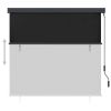 Outdoor Roller Blind 63"x98.4" Anthracite - Grey