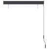 Outdoor Roller Blind 47.2"x98.4" Anthracite - Grey