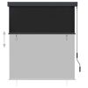 Outdoor Roller Blind 55.1"x98.4" Anthracite - Grey