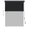Outdoor Roller Blind 47.2"x98.4" Anthracite - Grey