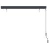Outdoor Roller Blind 63"x98.4" Anthracite - Grey