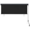 Outdoor Roller Blind 63"x98.4" Anthracite - Grey
